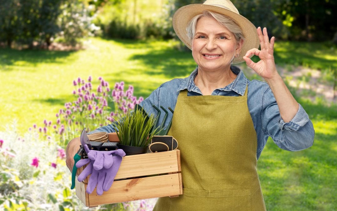 Summer Activities Seniors and Caregivers Will Love