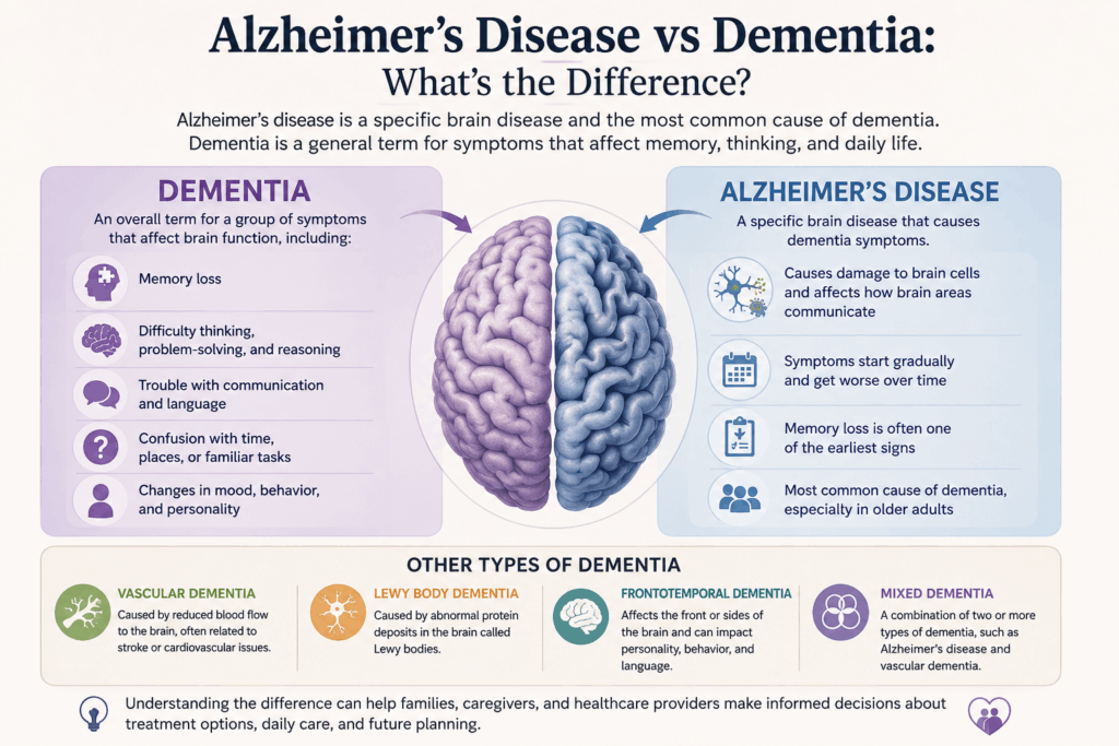 Infographic explaining the difference between Alzheimer’s disease and dementia, including symptoms, causes, and types of dementia