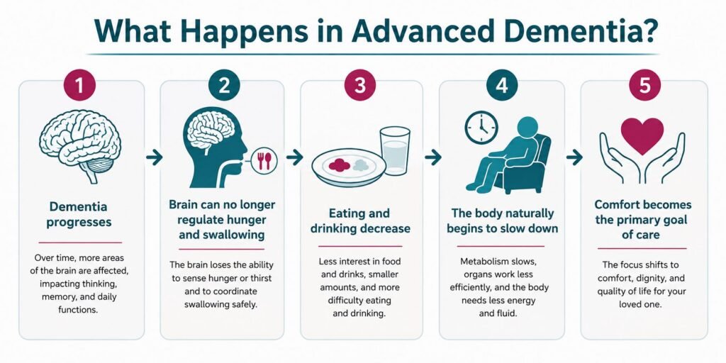 Infographic showing what happens in advanced dementia as the brain gradually loses the ability to regulate hunger and swallowing, causing eating and drinking to decrease and care to shift toward comfort.