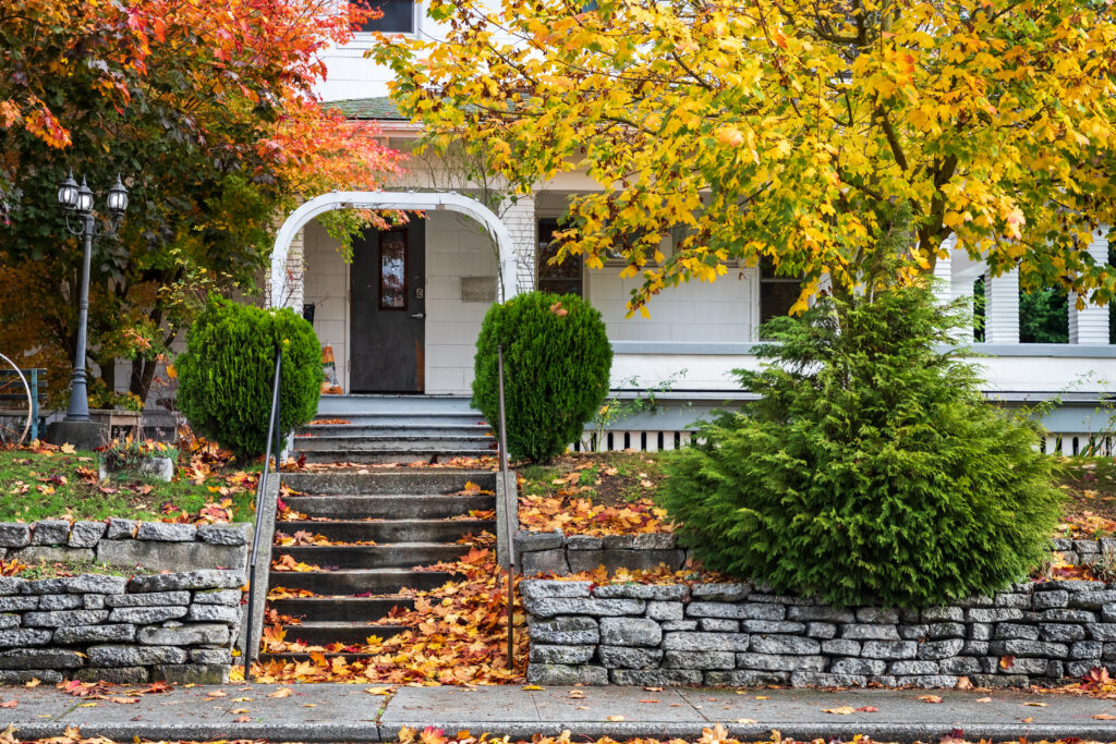 Fall leaves covering outdoor steps and walkway, creating a potential fall hazard for seniors